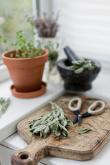 Fototapeta na wymiar Aromatic sage leaves herbs at kitchen