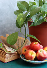 Still life with green house plant and fresh summer fruit on wooden desk. Peaches and nectarines on a plate. Healthy eating concept. 