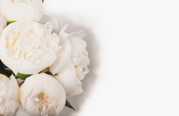 Bouquet of white peonies on a white background.