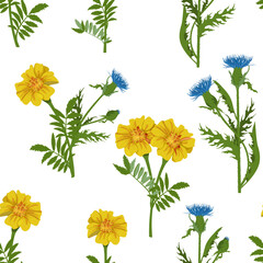 Seamless vector illustration with yellow marigolds and thistle on a white background.