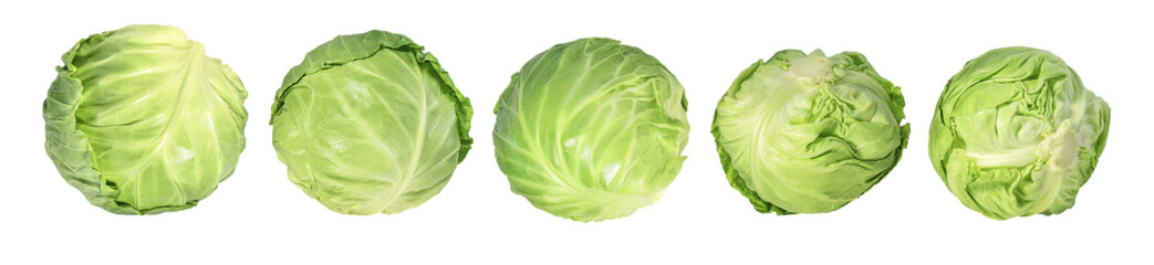 Green cabbage isolated on a white background