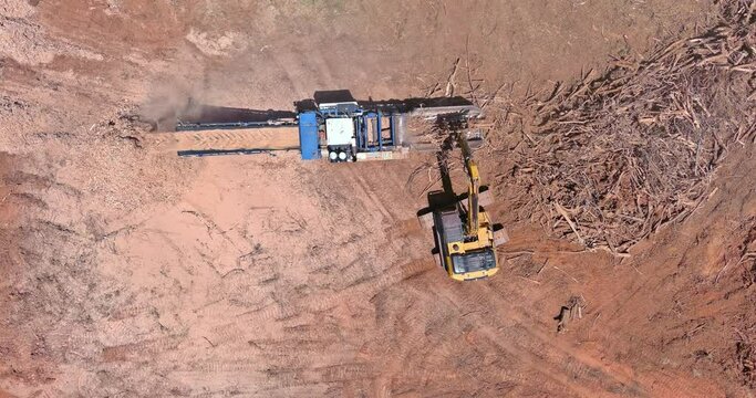 Work conveyor of wood roots crush with a chipper shredder machine in construction site area