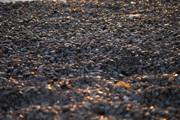 pebbles on the beach