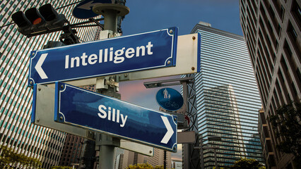 Street Sign Intelligent versus Silly