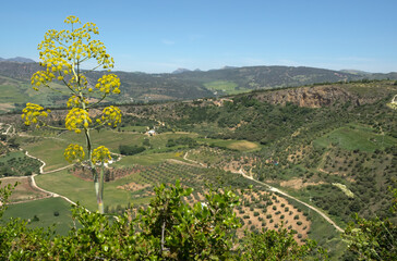 Fototapeta na wymiar View of the countryside from Ronda Spain