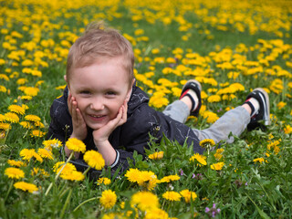 cheerful child on a green lawn with yellow dandelions