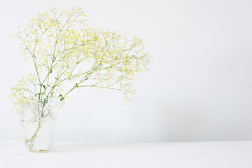 yellow gypsophila in glass vase in white room