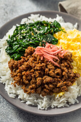 Homemade Japanese Sanshoku Don Chicken Rice Bowl
