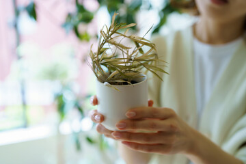 枯れてしまった観葉植物の鉢を手にする女性
