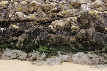 Pared rocosa de una playa de Llanes, Asturias (España)