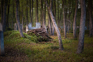 children playing paintball in the forest