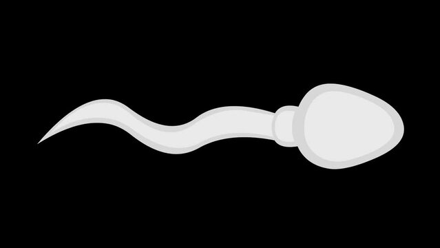 Loop animation of a moving sperm cell, on a transparent background