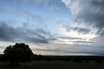 Storm chasing