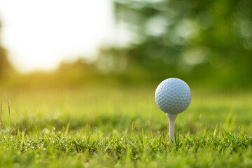 golf ball on tee in a beautiful golf course with morning sunshine