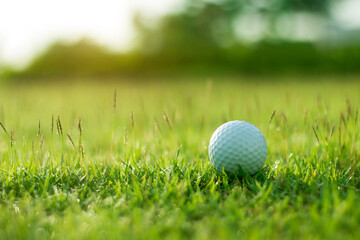 golf ball is on a green lawn in a beautiful golf course