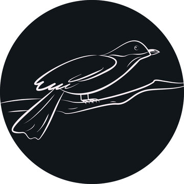recommend clip art: line art bird silhouette on dark background