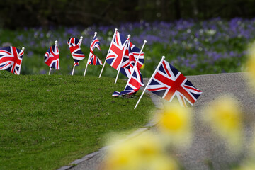 United Kingdom Union jack flags line edge of grass - obrazy, fototapety, plakaty