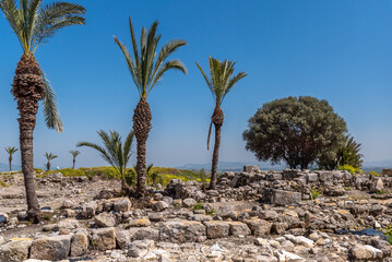 Tel Megiddo National Park is an archaeological site. Also known as Armageddon the place where the last battle between good and evil will be fought.
