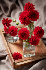 Obraz na płótnie Canvas Red amazing flowers dahlias