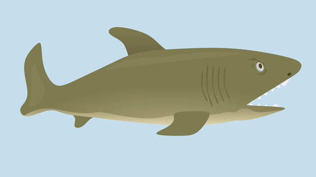 Big grey fish. vector illustration
