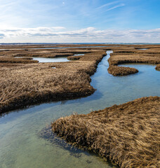 marsh by the sea