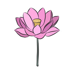 Lotus flower simple colored bud. Botanical decor for cards and invitations