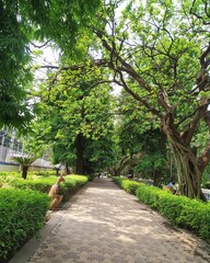 path in the park