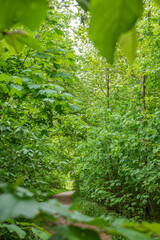 The beautiful spring landscape in Fredericia, Denmark
