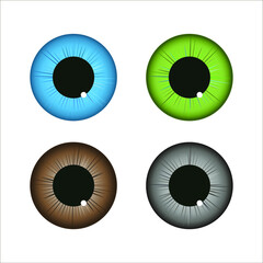 eye blue, green, brown and gray vector, illustration