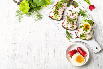 Healthy sandwiches with radish, cucumber, egg, curd cheese, sprinkled with green onions and pink...