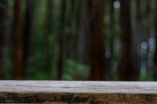 Old wood empty table in front of Sumatran pine (Pinus merkusii), pine forest stands. Display product.