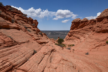 Fototapeta na wymiar View of Coyote Buttes South in Vermilion Cliffs National Monument, Arizona, USA