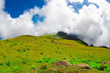 A panoramic view of the Gito plateau, one of the famous plateaus of Rize province and the Kaçkar...