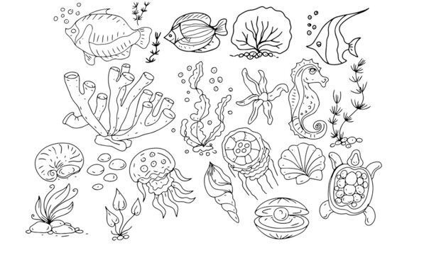 
sea ​​fish ocean travel cruise shells coloring book for kids doodle sketch hand drawn big set separately on white background elements
