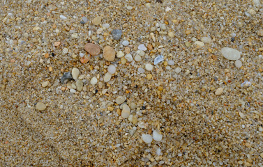 In search of the Cape May diamonds at Sunset Beach in Cape May NJ