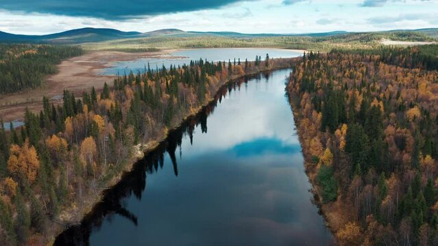 Aerial view of the forest and river in Kola Peninsula in Russia. Flight over the river of Lotta in arctic area during autumn sunny day