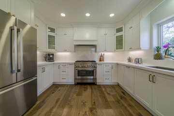 Kitchen interior in new luxury home
