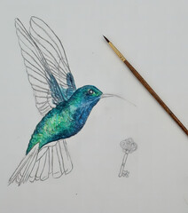 Photograph of an unfinished hummingbird drawing and key, on paper, with a brush on it. Autor: Cassia Bars Hering.