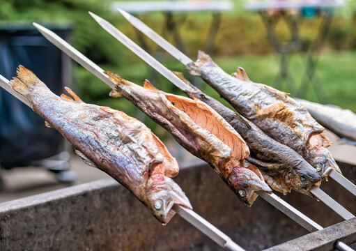 European sea bass on the grill. Outdoor fish barbecue