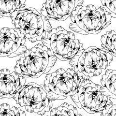 Hand drawn line black pattern peony flower, isolated on white. Vector line art  elegant floral seamless composition in vintage style, t-shirt, tattoo design, coloring page, wedding decoration.
