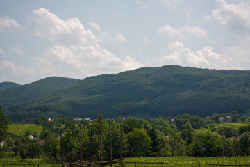 Naklejka premium Ukrainian Carpathians. Mountains among greenery and blue sky background. Beautiful nature landscape
