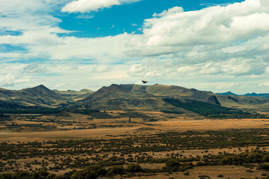 Condor flying over a valley with mountain ranges. freedom and wildlife concept. Argentinian Patagonia