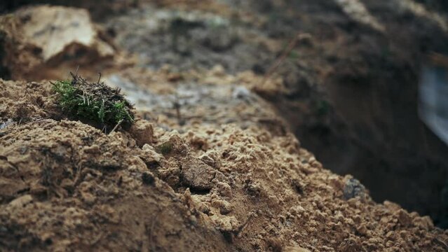 One soldier digs a trench in a pine forest. Close-up of a shovel and sand.