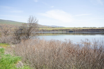 Banks of the Columbia River in the Eastern Columbia River Gorge in Early Spring near The Dalles