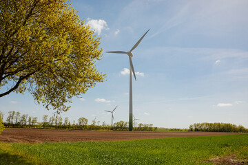 wind turbine in the field. wind turbine on sky. Large wind turbine next to a tree in spring. Wind turbine in summer. East Frisia in Germany - obrazy, fototapety, plakaty