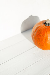 Autumn orange pumpkin in sunlight on a white wooden table
