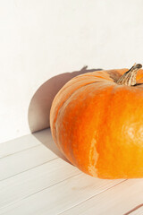 Orange colored pumpkin with sum lights and shadows stands on a white wooden background. Autumn