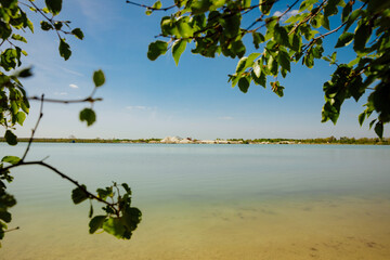 tree on the water. Sand quarry near a blue water pond