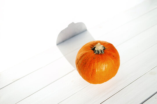 Fresh orange pumpkin on a white wooden table in the garden. Autumn Vegetables.