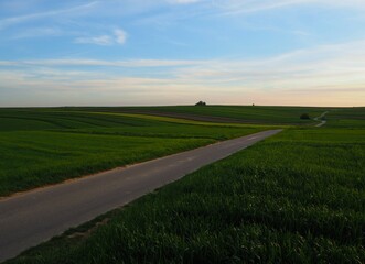 Fototapeta na wymiar Droga wśród pól z młodym, zielonym zbożem przed zachodem słońca, wiosna w Polsce, wiejski krajobraz / A road among fields with young, green grains, before sunset, spring in Poland, rural landscape